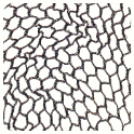 Jac-o-net Wave & Night Net - Number 271